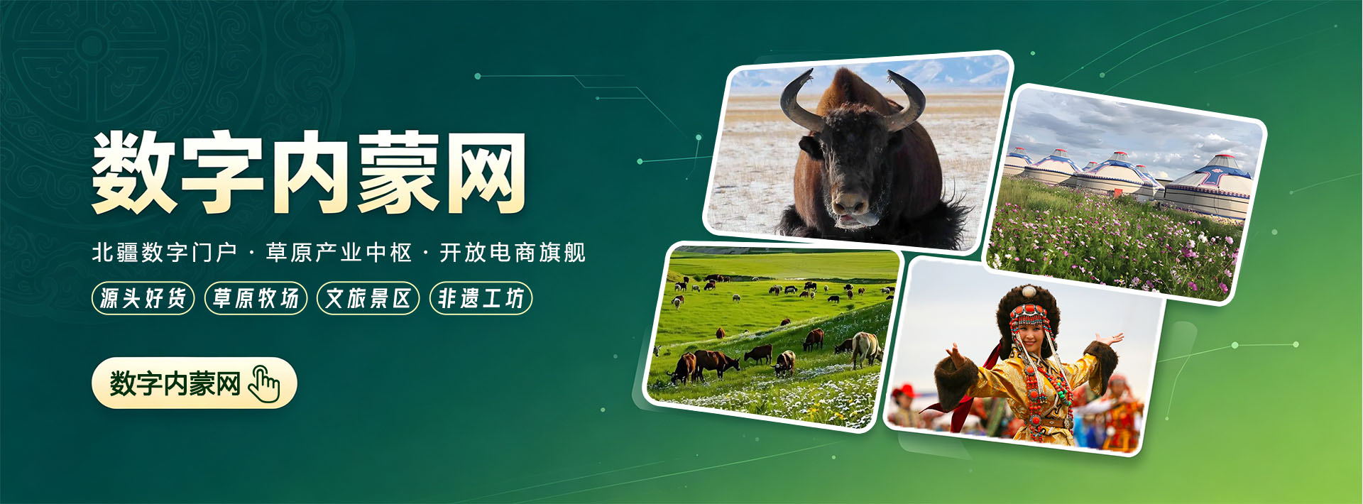 图片错误